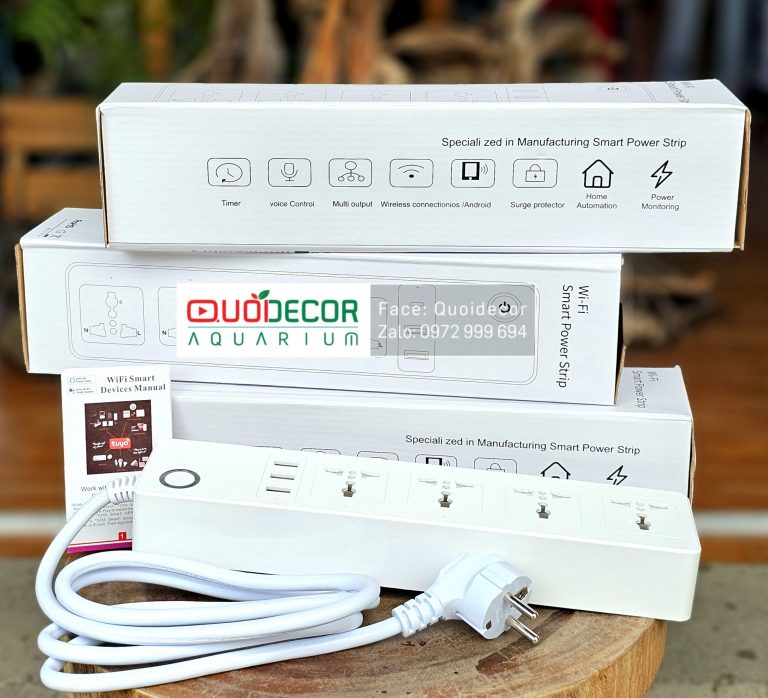 Timer wifi 4 cổng