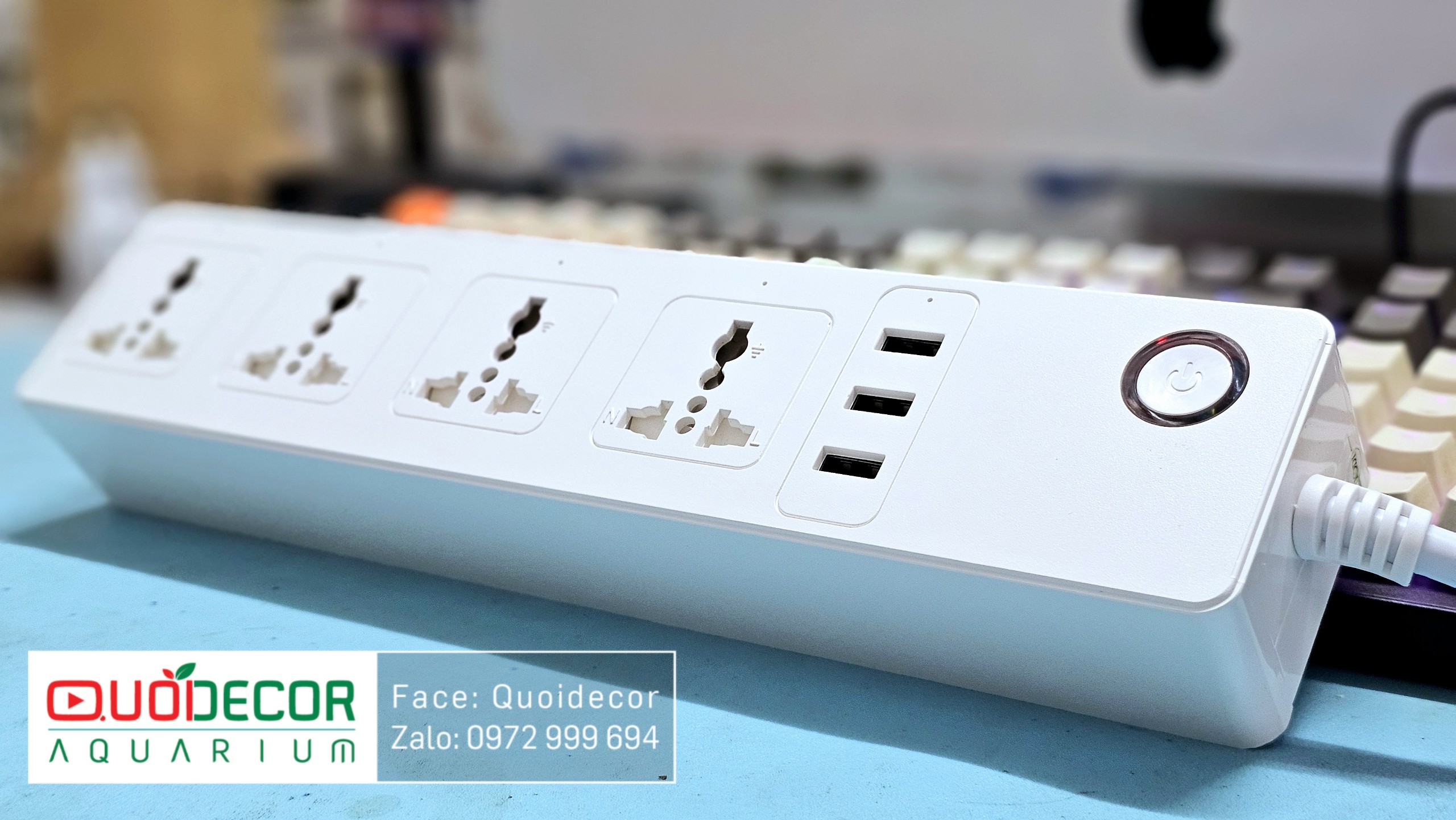 Timer wifi 4 cổng