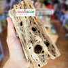 lũa cholla cho tép cảnh