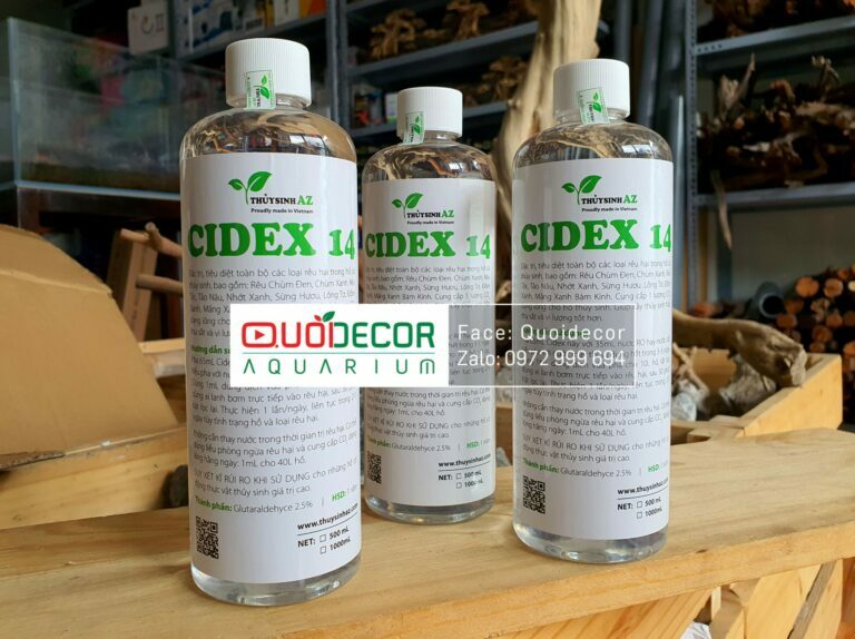Thuốc trị rêu hại cidex 14