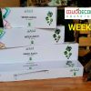 WEEK M PRO