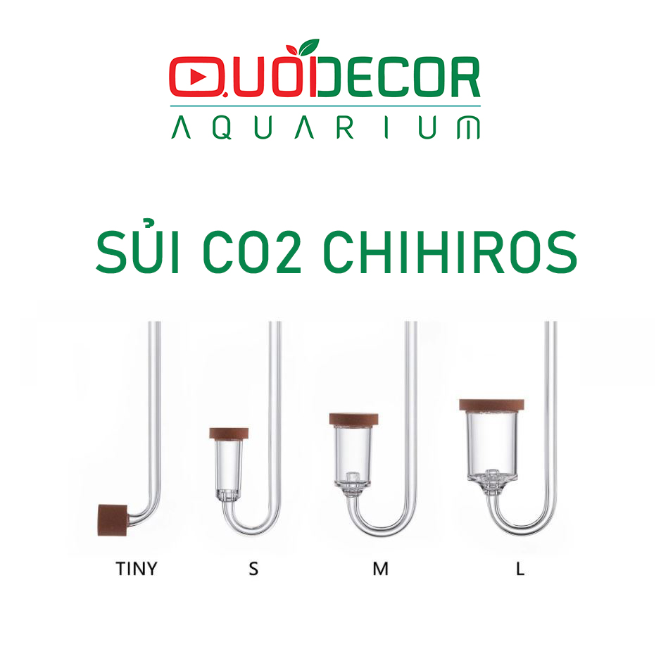 Sủi Co2 chihiros size M