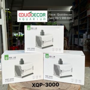 XQP-3000