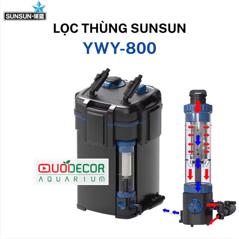 sunsun ywy 800